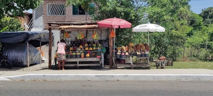 Banca de frutas em comércio de rua, com vendedora atendendo o próprio estabelecimento, toldos coloridos e produtos expostos